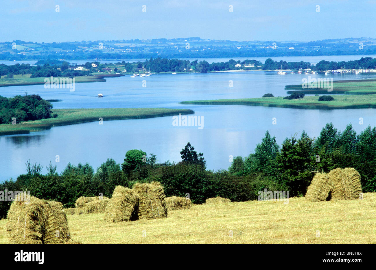 Lough Ree, County Westmeath, Irland-Eire irischer See Seen Loughs Heuhaufen Heuhaufen Stockfoto