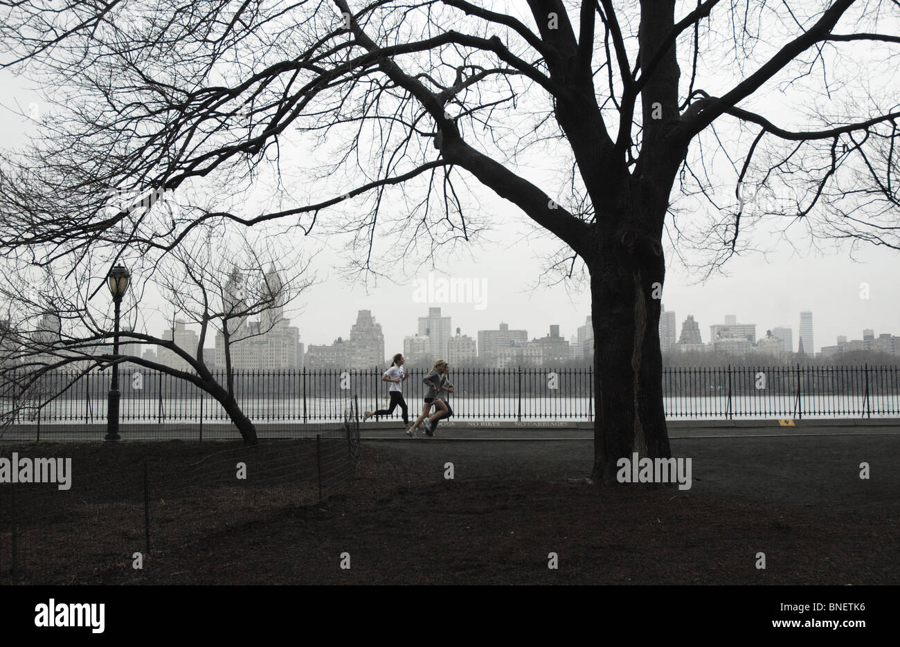 Läufer an einem Wintertag im Central Park in New York City Stockfoto
