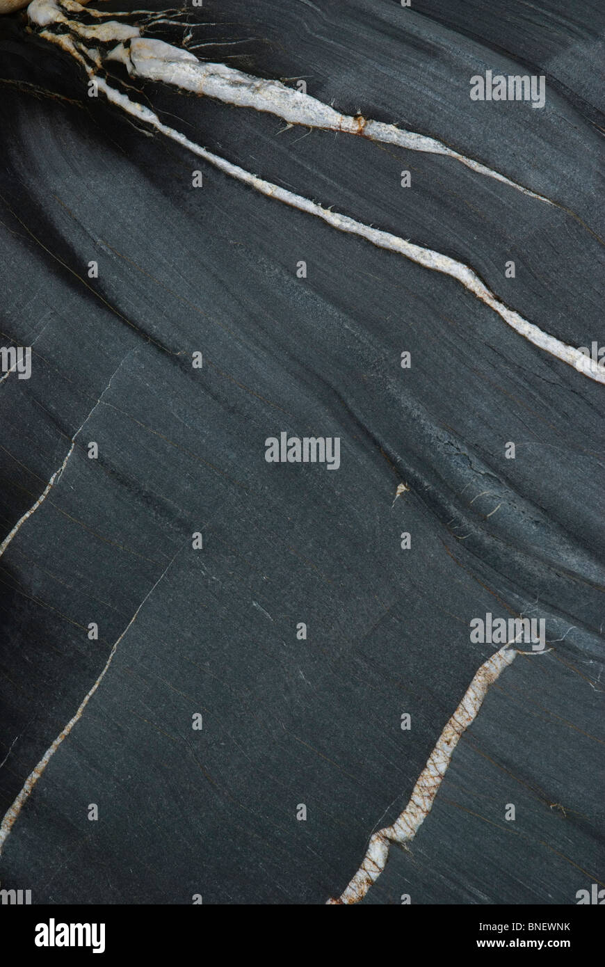 Detail der Felsen am Strand von Ayrmer Cove South Devon England UK Stockfoto