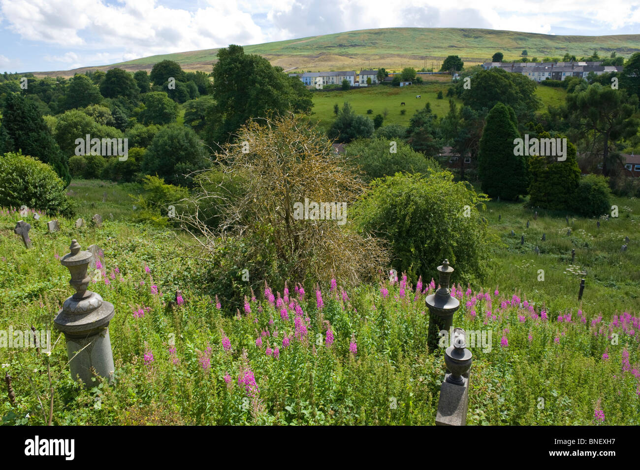 Überwucherten Friedhof neben dem World Heritage Centre in Blaenavon Torfaen South Wales Valleys UK Stockfoto