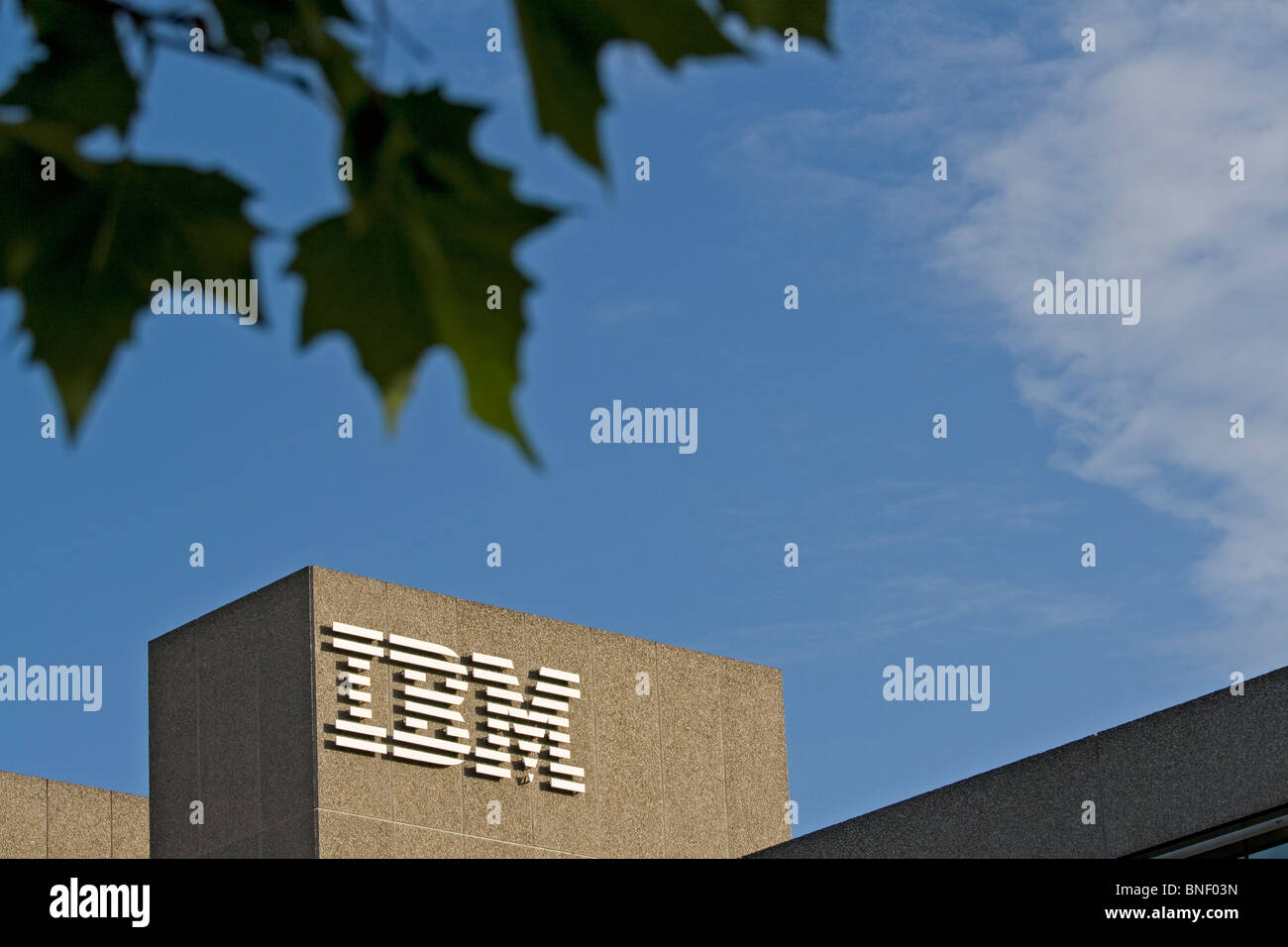 IBM, aufbauend auf der South Bank, London, England Stockfoto