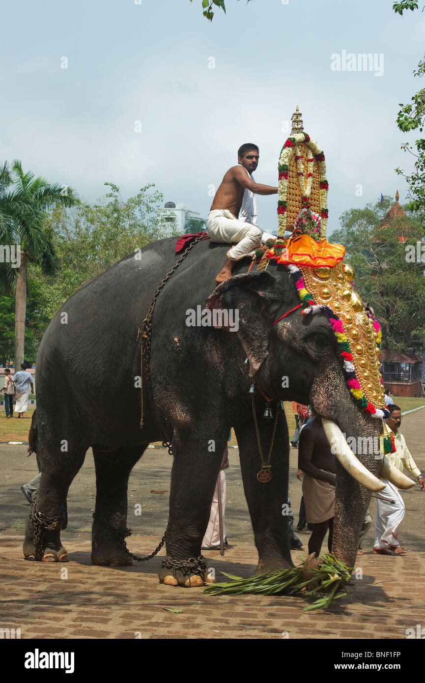 Indien Kerala Thrissur einen geharnischten Elefanten während des Pooram Elephant Festival Stockfoto Indien Kerala Thrissur einen geharnischten Elefanten während des Pooram Elephant Festival Stockfoto