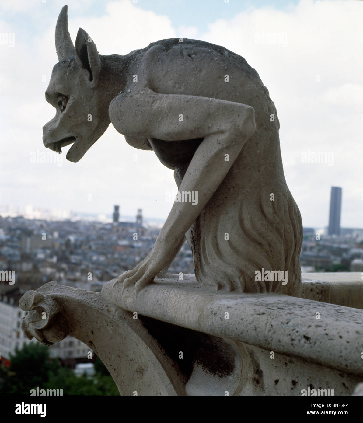 Frankreich, Paris, Notre Dame de Paris, Gargoyle Stockfoto
