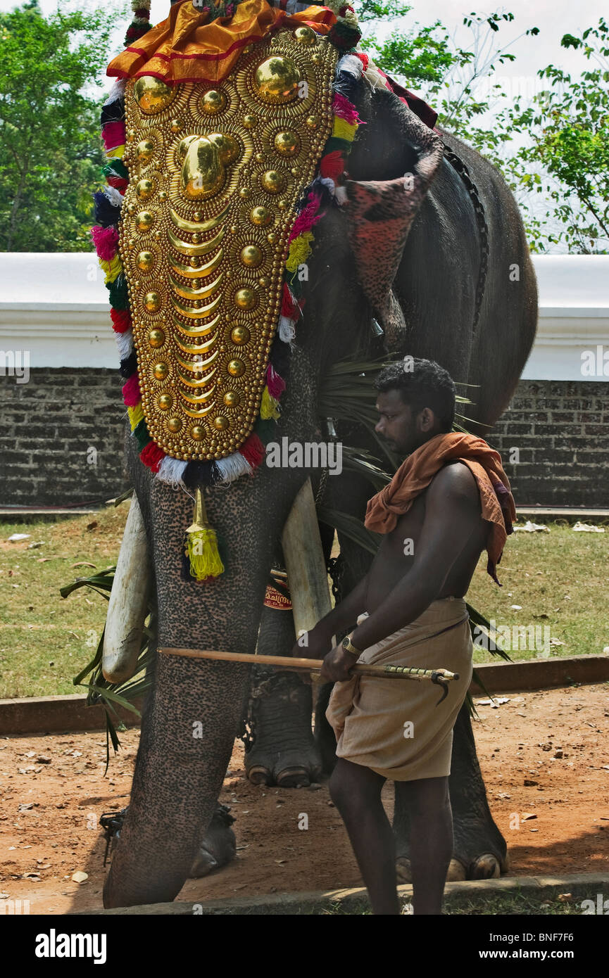 Indien Kerala Thrissur einen geharnischten Elefanten für das Pooram Elephant Festival Stockfoto Indien Kerala Thrissur einen geharnischten Elefanten für das Pooram Elephant Festival Stockfoto