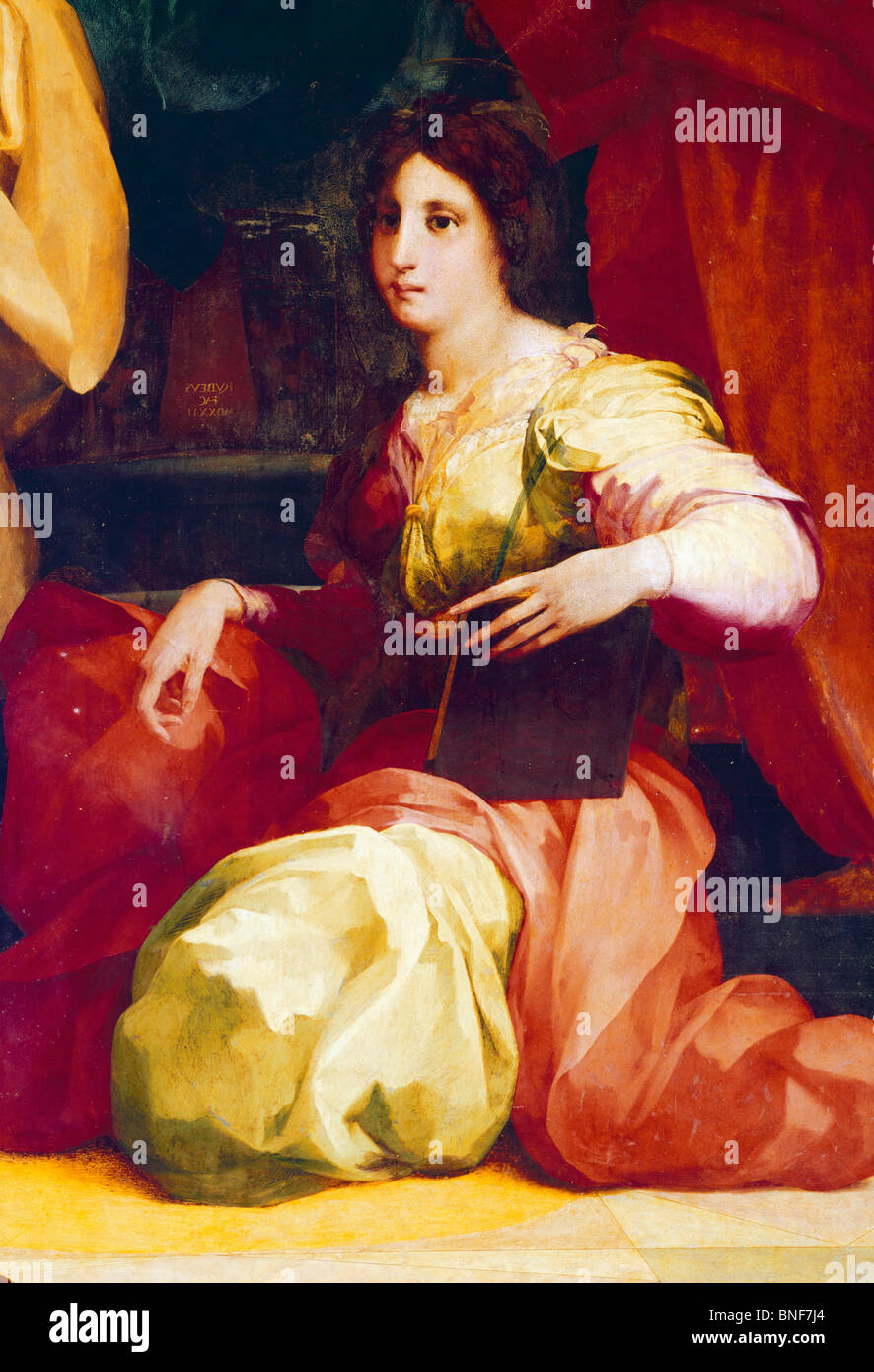 Catherine de Medici von Rosso Fiorentino, (1495-1540), Italien, Florenz, Palazzo Pitti, Galleria Palatina Stockfoto