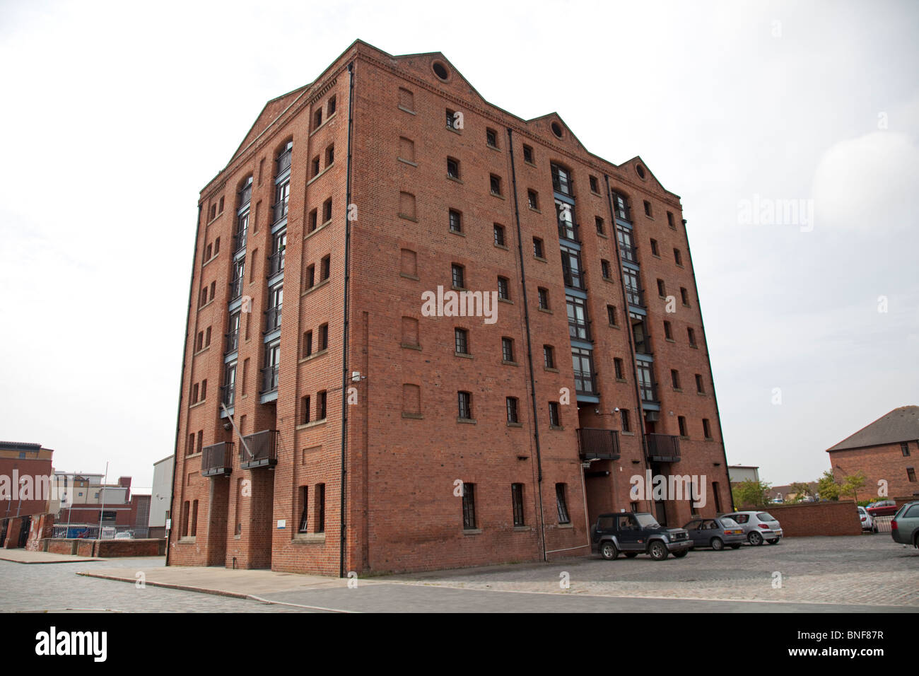 Wohnungen in sanierten Hallen Hull Marina Komplex Yorkshire UK Stockfoto