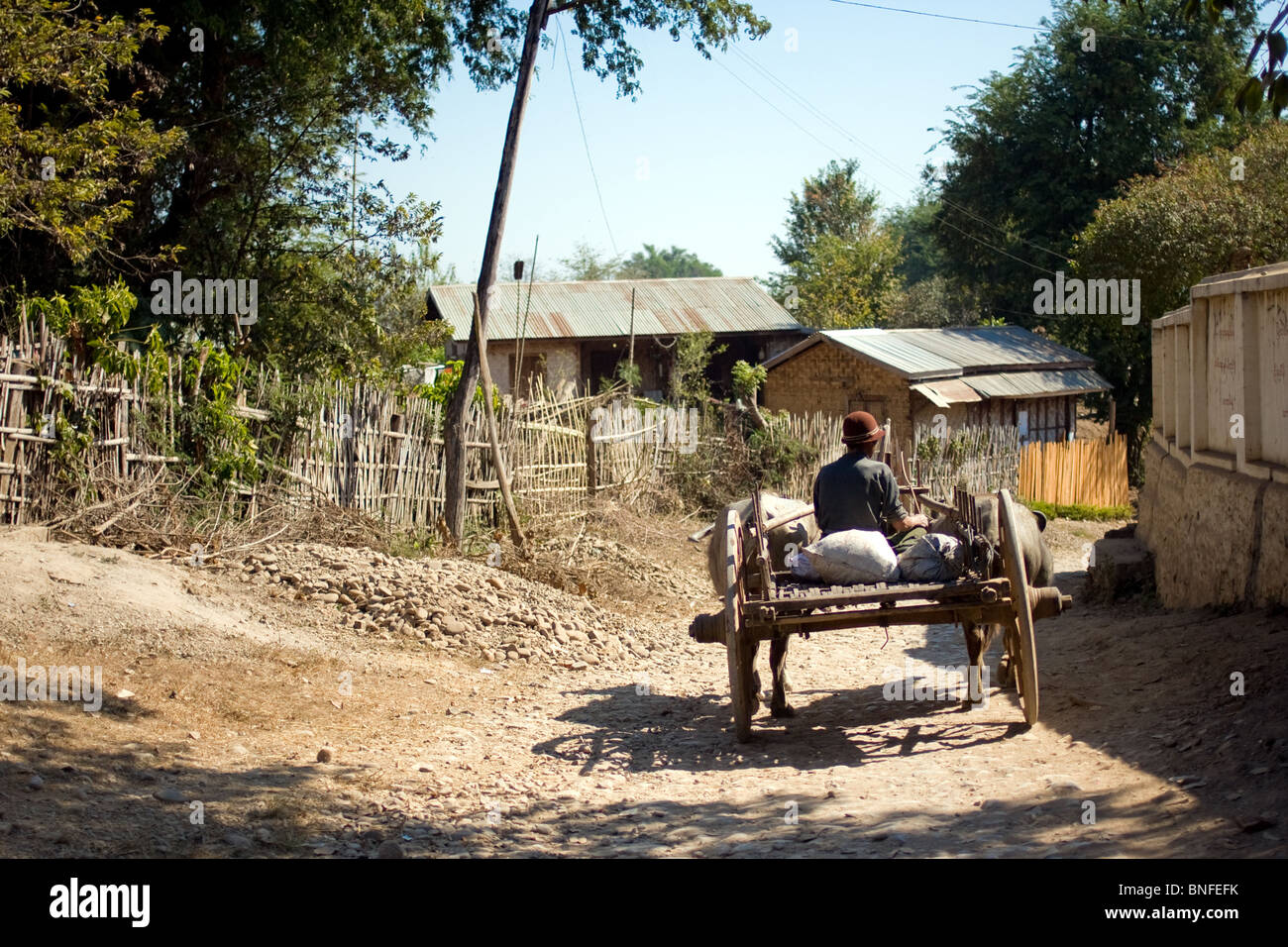 Einem Wagen, gezogen von Büffel in Hsipaw, Shan State in Myanmar. Stockfoto