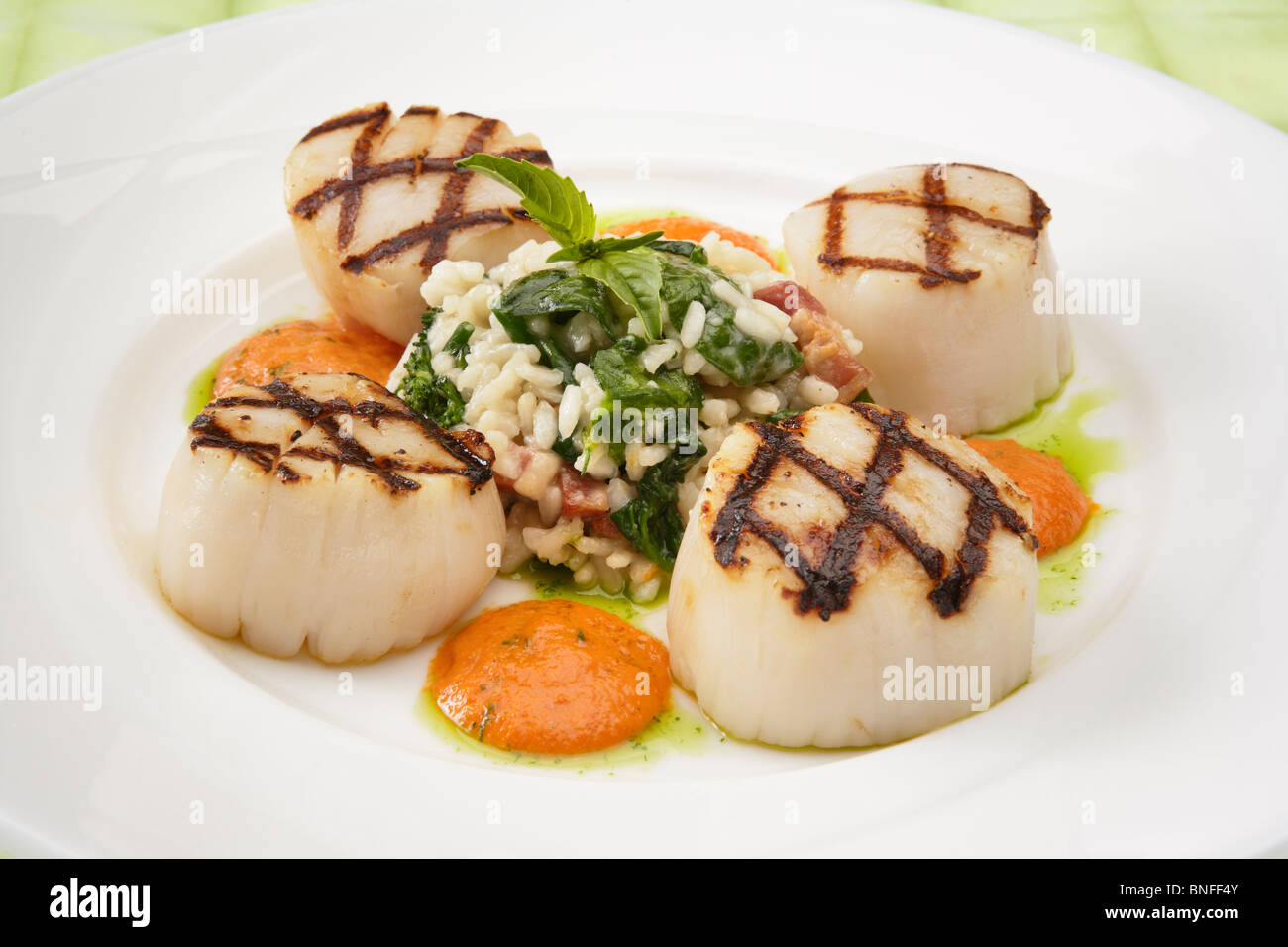 Jakobsmuscheln mit cremiger Spinat Risotto Stockfoto