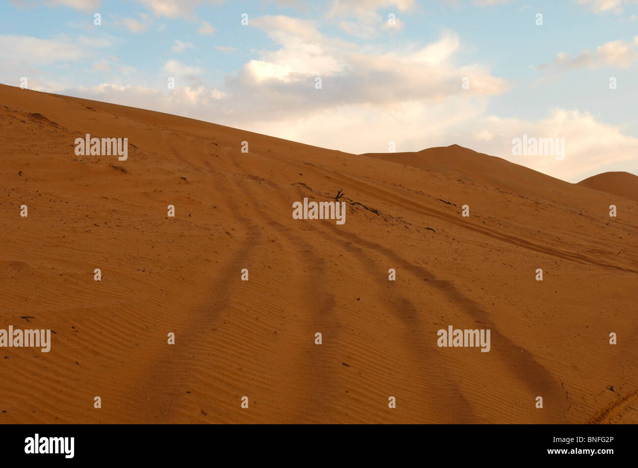 Oman-Wüste Stockfoto