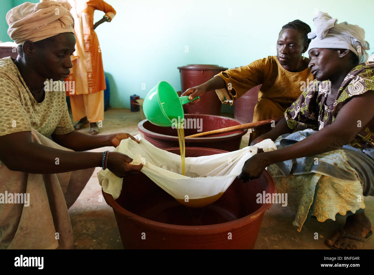 Frauen Filtern Öl produziert von Sheanüsse in das Dorf Bankoumana, in der Nähe von Bamako, Mali Stockfoto