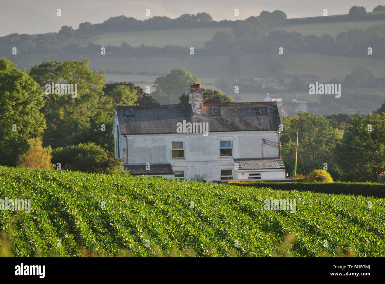 Einem einsamen Bauernhaus Ferienhaus in Marshwood Vale, Dorset, England Stockfoto