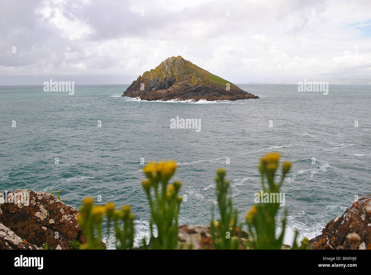 Moules Insel vor Bürzel Point, Pentire, Cornwall, England Stockfoto