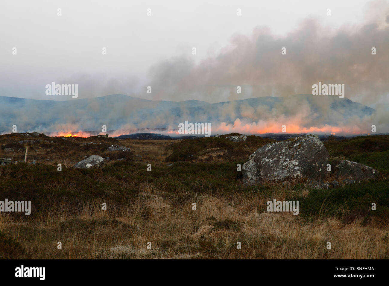 Waldbrände auf dem Moor in Carna, Connemara, Co. Galway, Westirland, Eire. Stockfoto