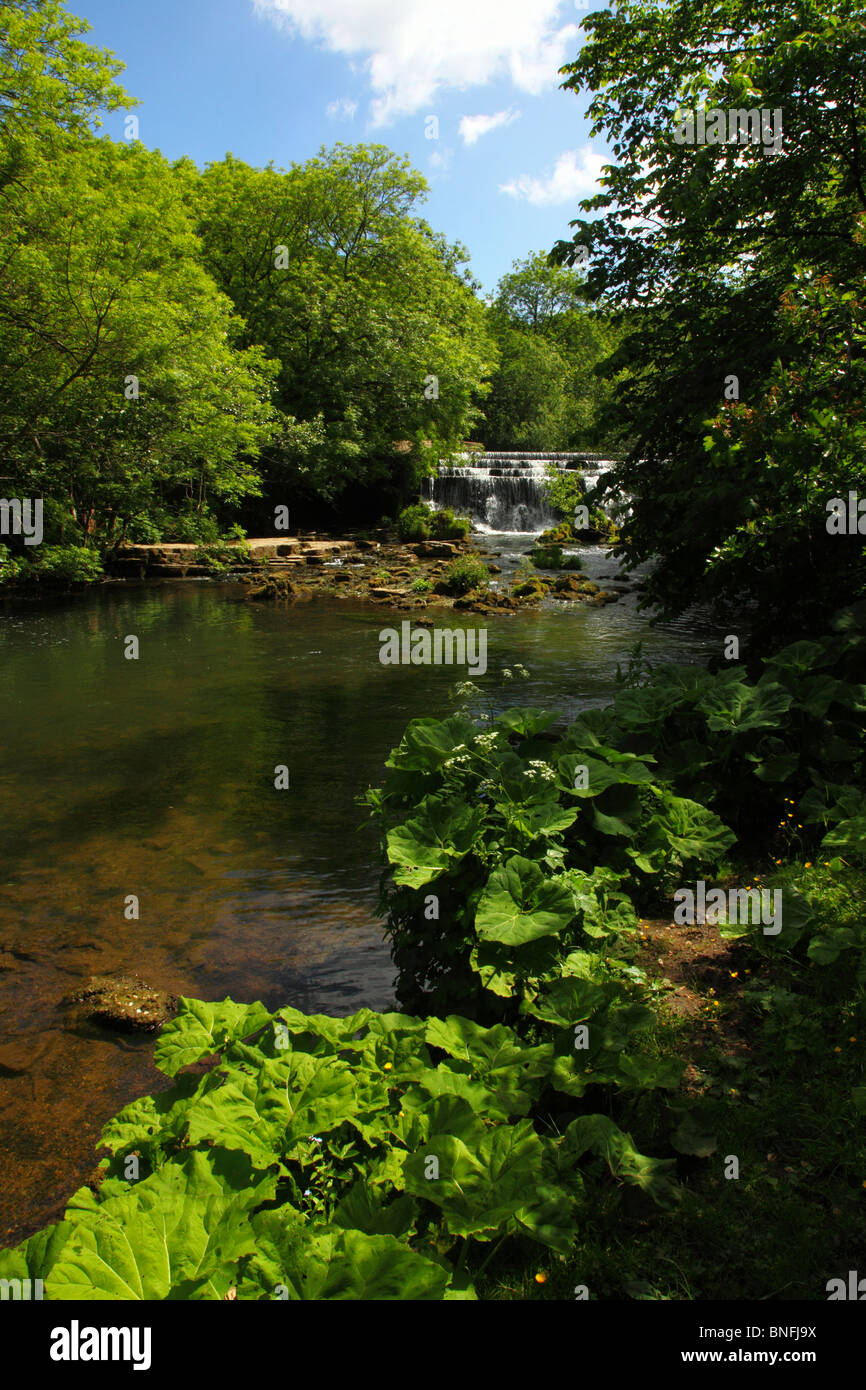 Wehr am Fluss Wye, Monsal Dale, Peak-District-Nationalpark, Derbyshire, England, UK. Stockfoto