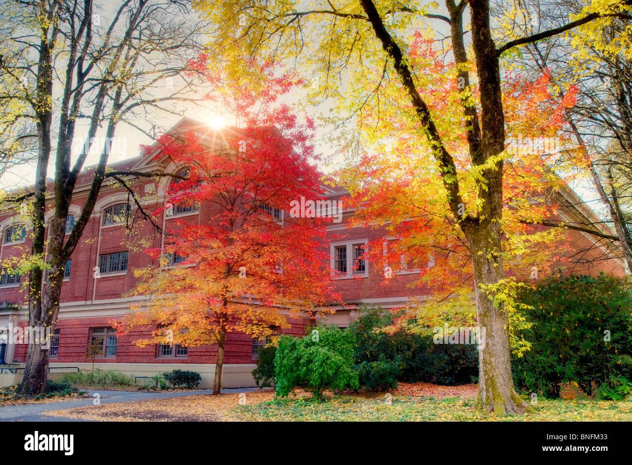 Langton Halle mit Herbstfarben und Sonne. Oregon State University. Stockfoto