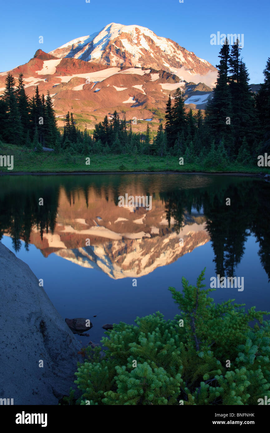 Die Nordwand des Mount Rainier aus Tarn im Spray Park Stockfoto