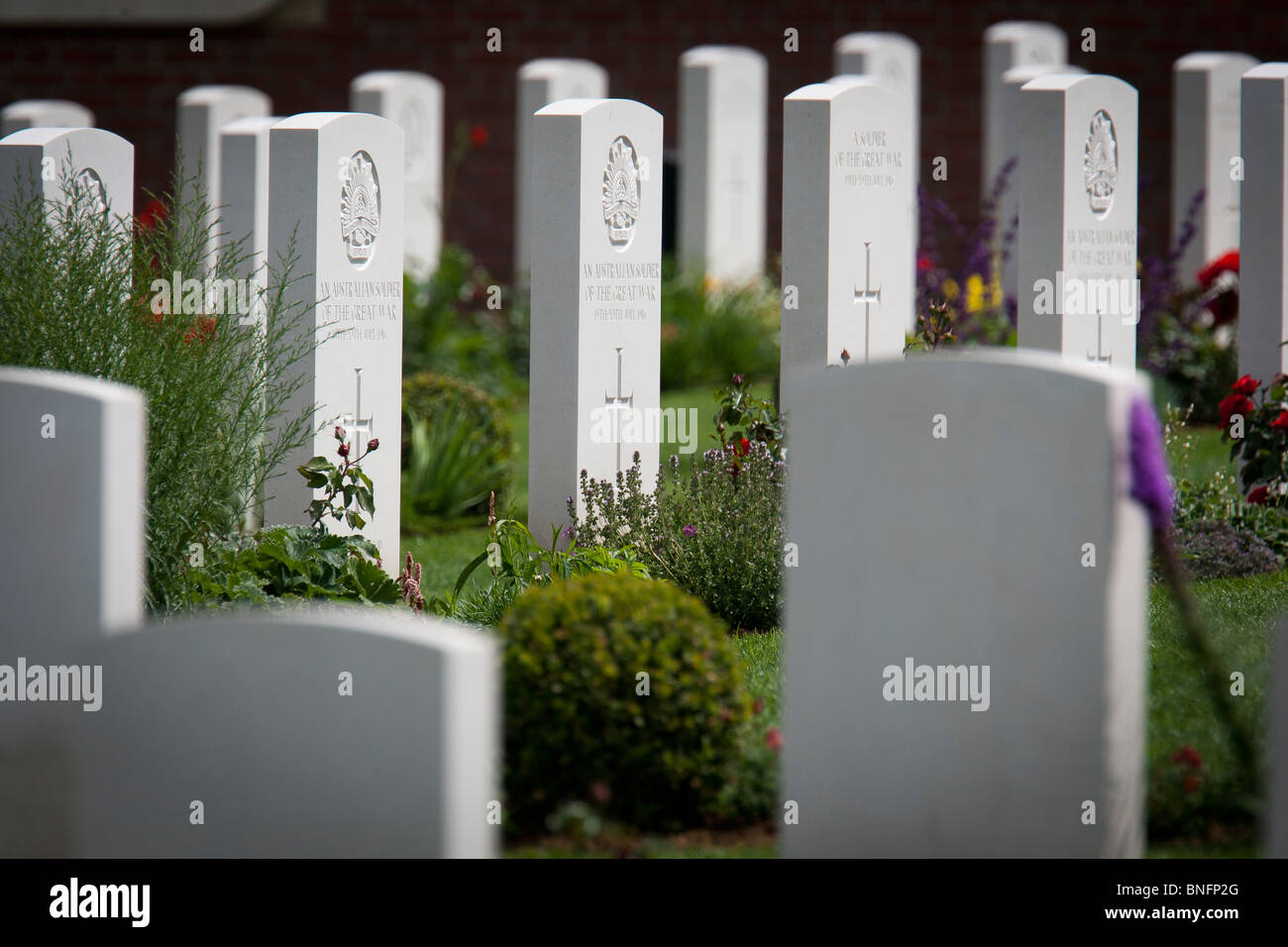 Grabsteine in der neuen britischen Kriegsgräberfürsorge Friedhof in Fromelles, Frankreich hält die Leichen von Soldaten WW1 Stockfoto