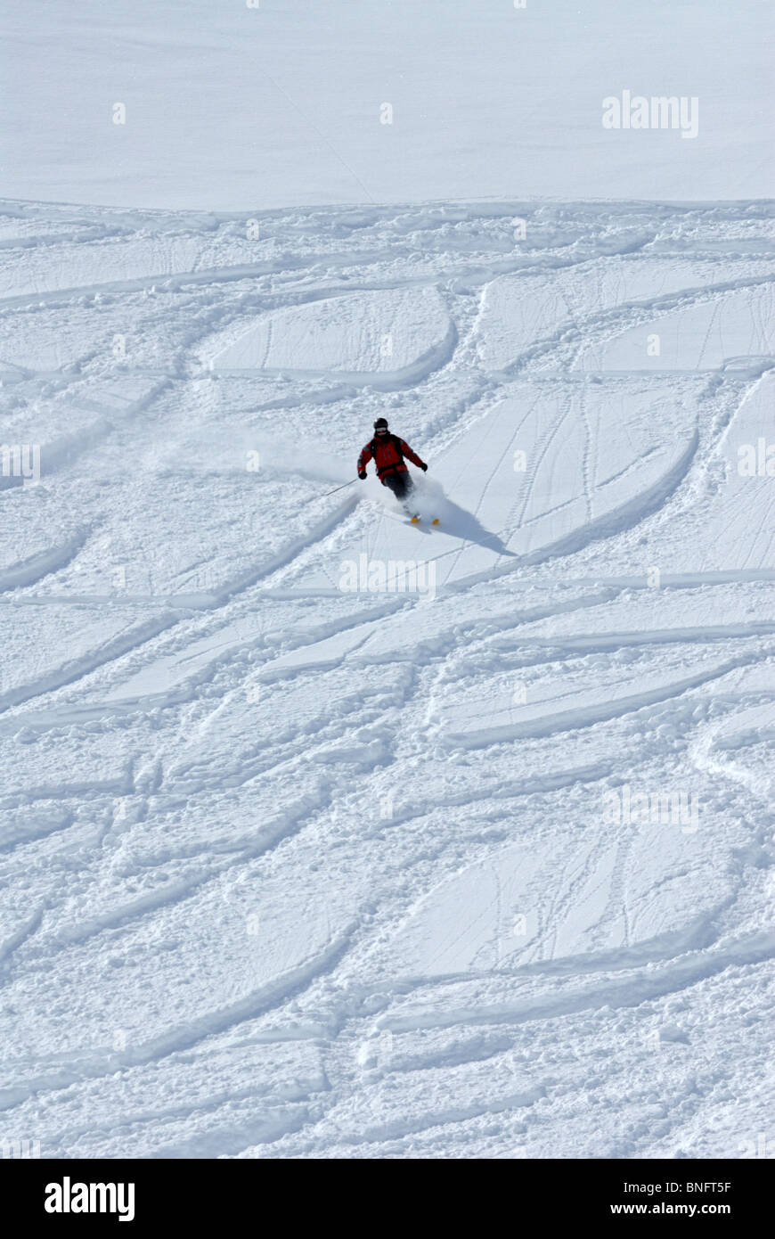 Freerider in der White Plains der Schweizer Alpen, Mürren Schilthorn, Schweiz, Europa Stockfoto