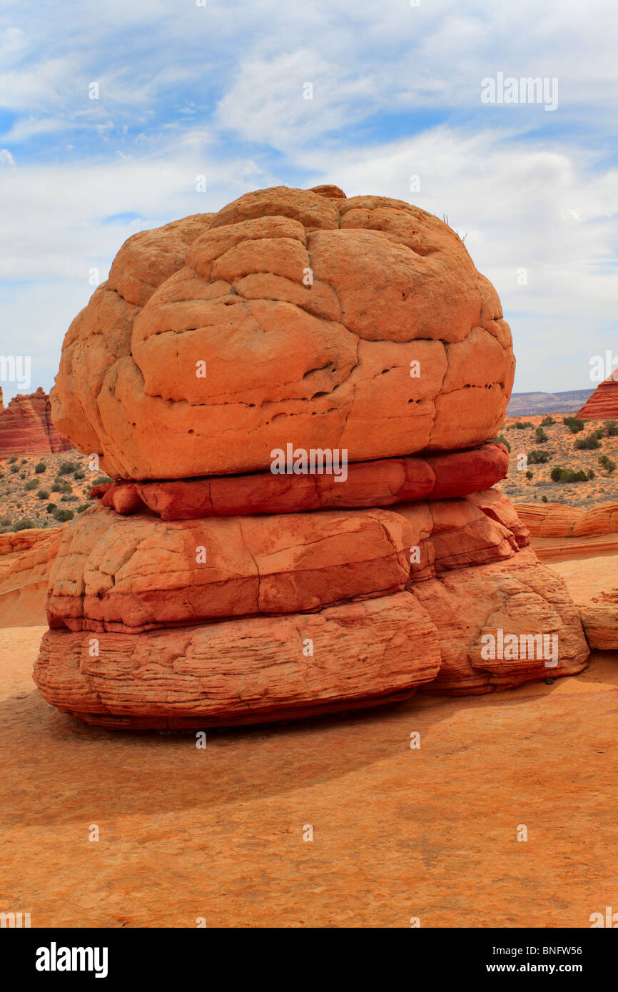 Erodierte Sandsteinformation, die ähnlich wie einen Hamburger im Vermilion Cliffs National Monument, Arizona Stockfoto