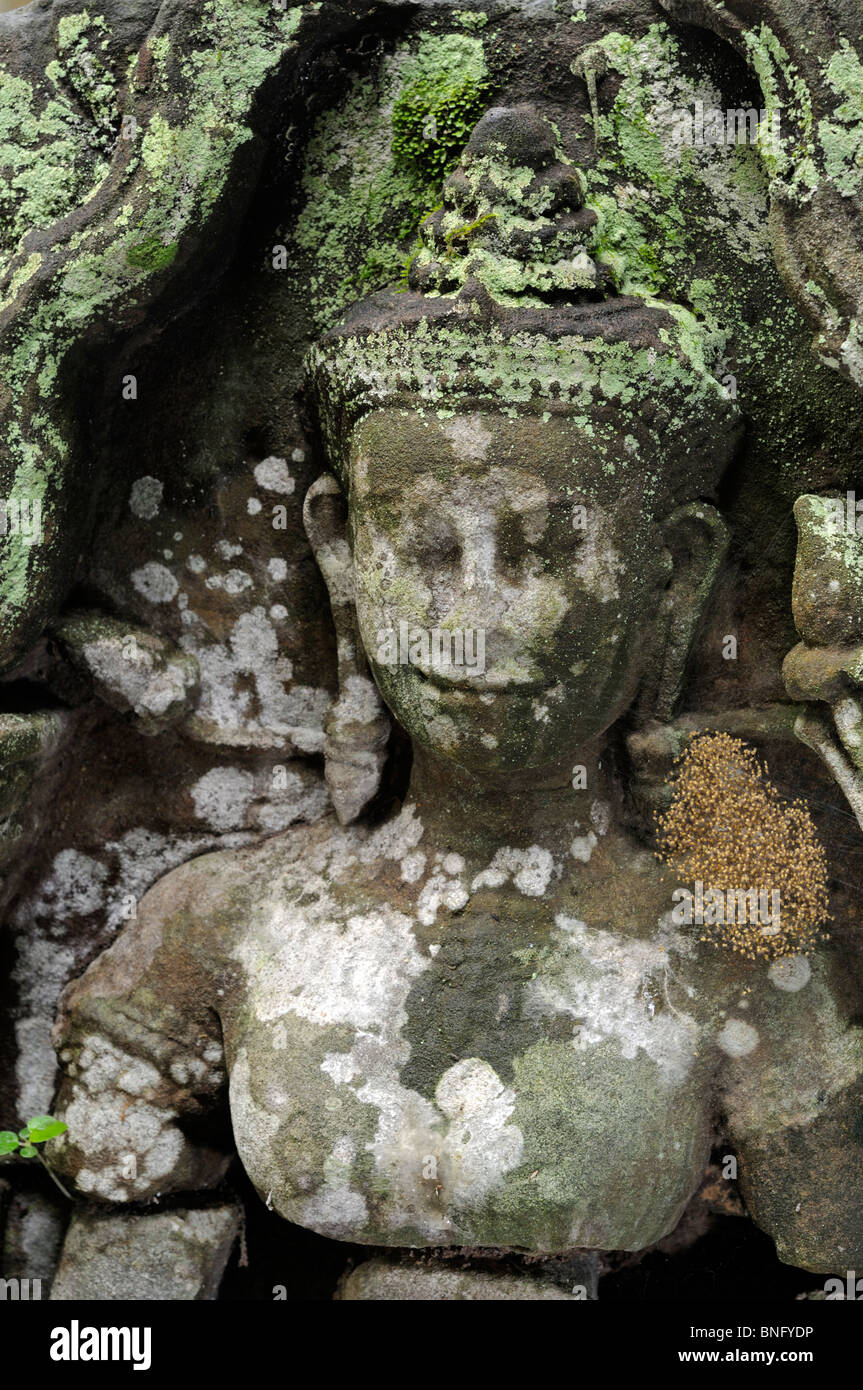 Stein-Reliefs im Ta Prohm Tempel, Angkor, Kambodscha Stockfoto