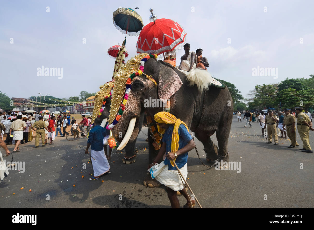 Indien Kerala Thrissur spannte Elefanten während des Pooram Elephant Festival Stockfoto