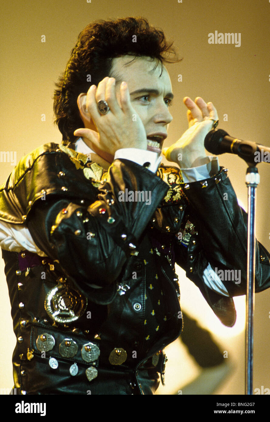 Adam ant Stockfoto