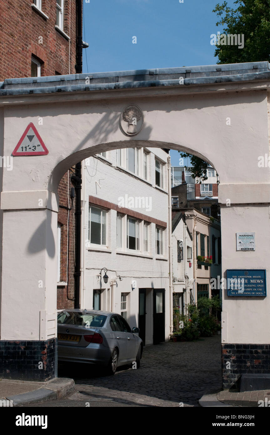 Chester Square Mews, London, SW1, UK Stockfoto