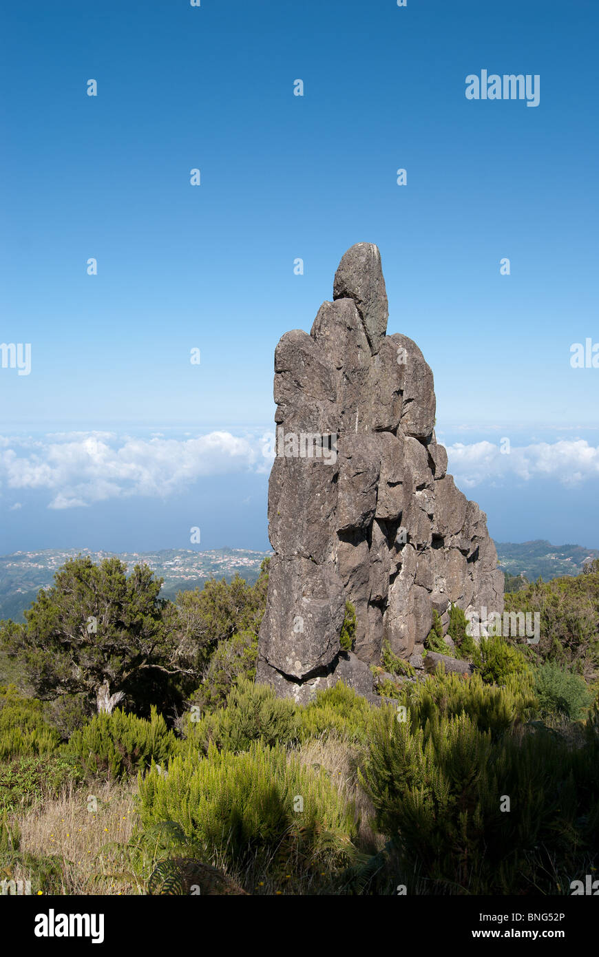 Homem Em Pe Stockfoto