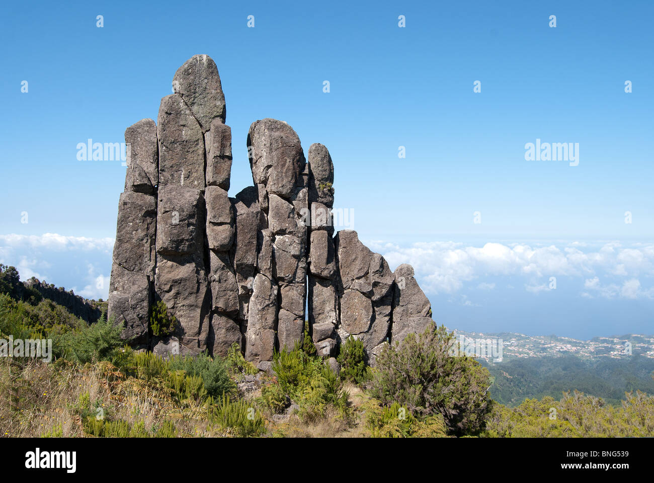 Homem Em Pe Stockfoto