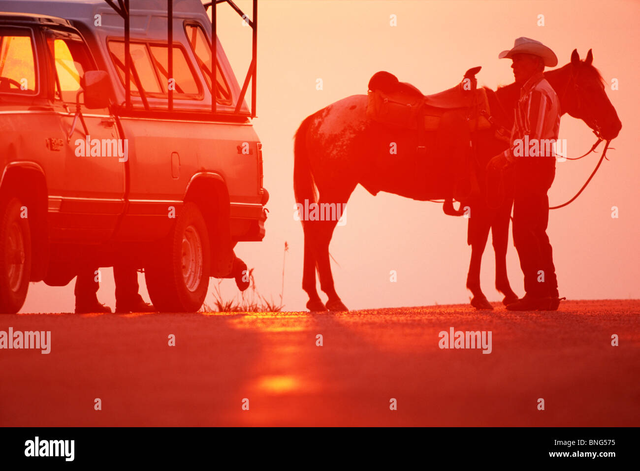 Cowboy mit einem Pferd auf der Straße, Pincher Creek, Alberta, Kanada Stockfoto