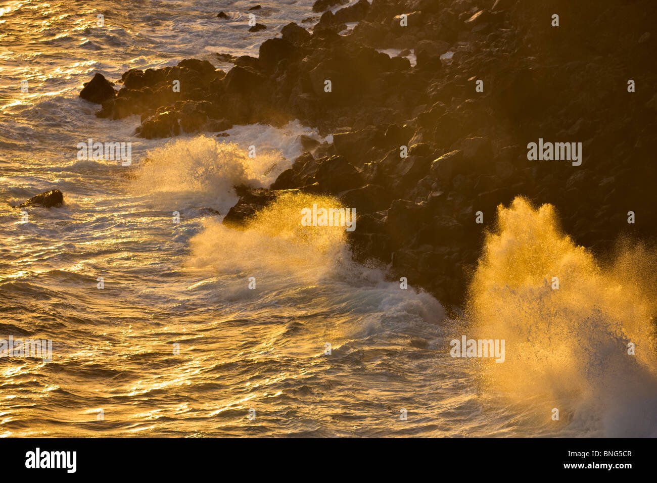 Felsformationen an der Küste, Maui, Hawaii, USA Stockfoto