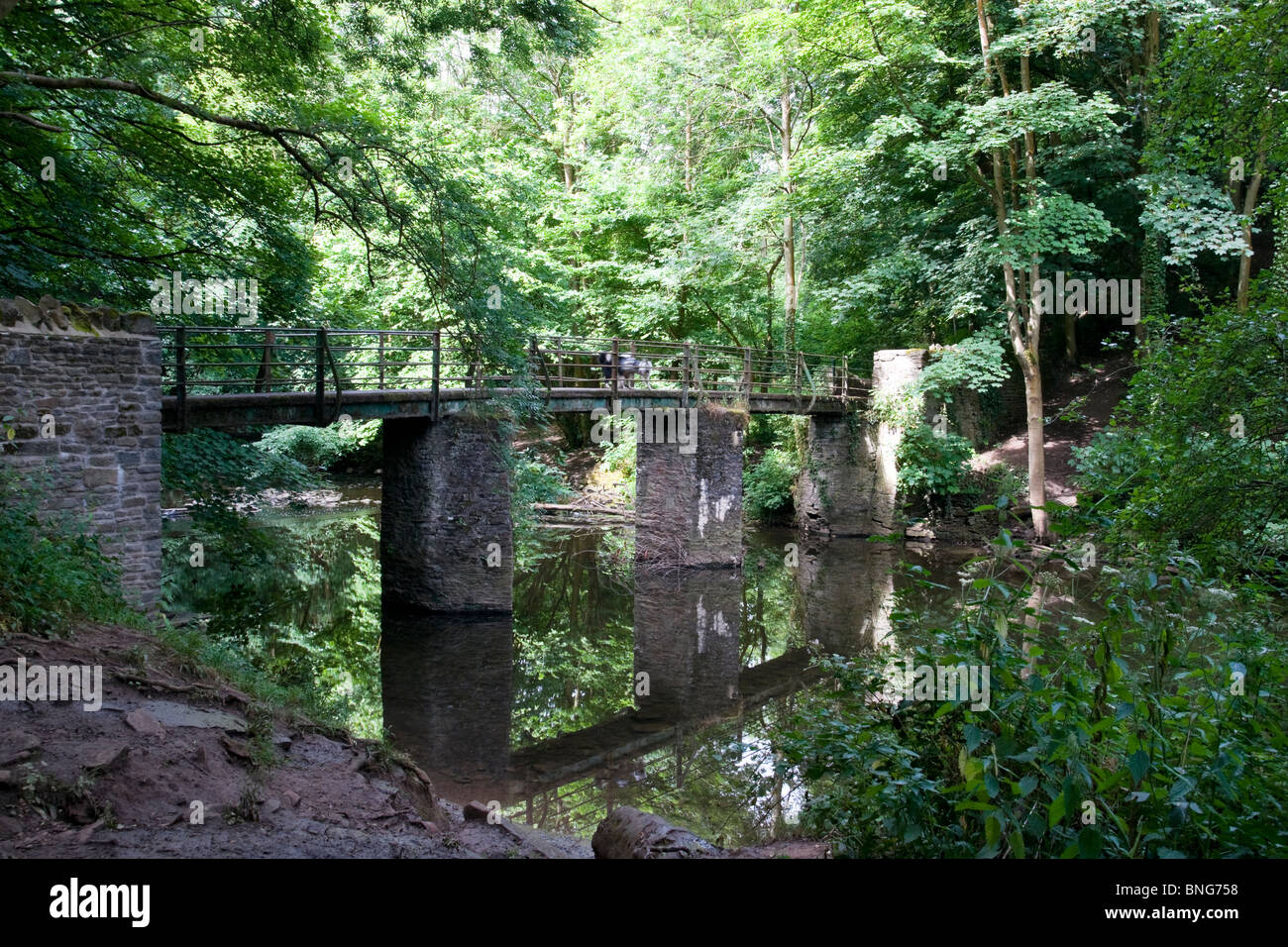 Schnupftabak Mills River Frome Bristol Stockfoto