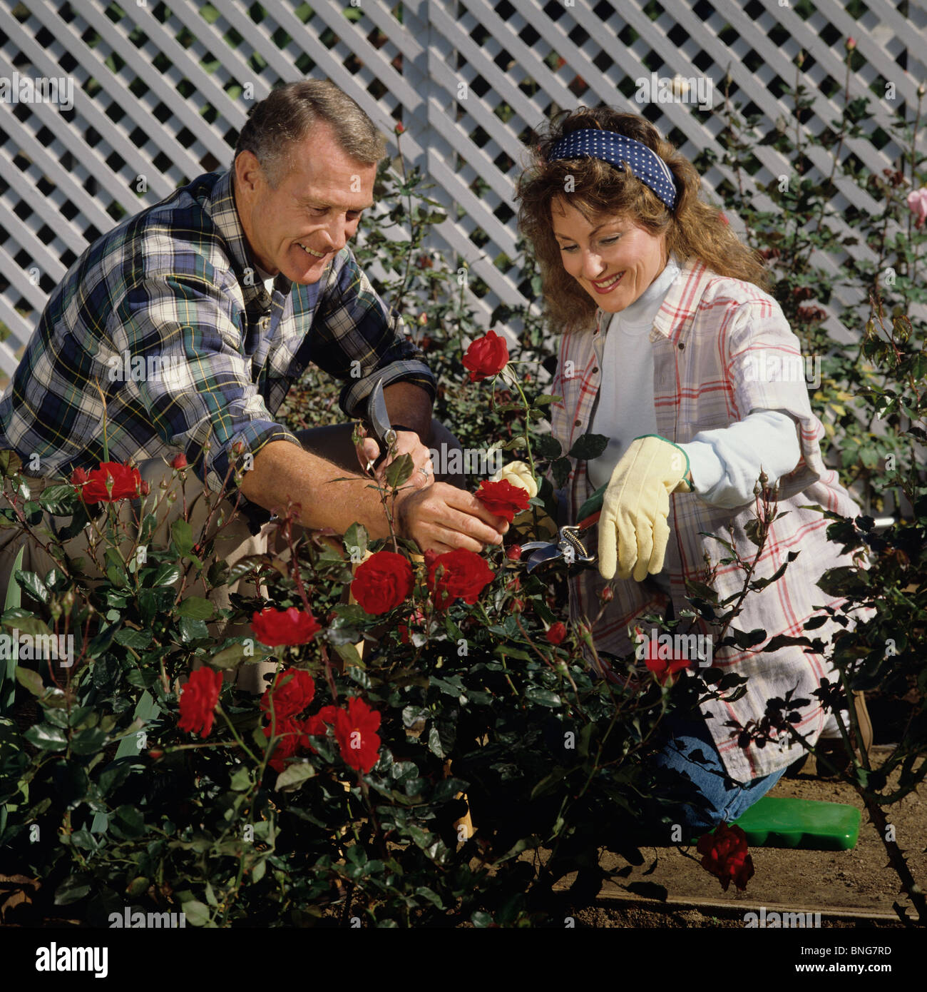 Paar mittleren Alters zusammen Gartenarbeit Stockfoto