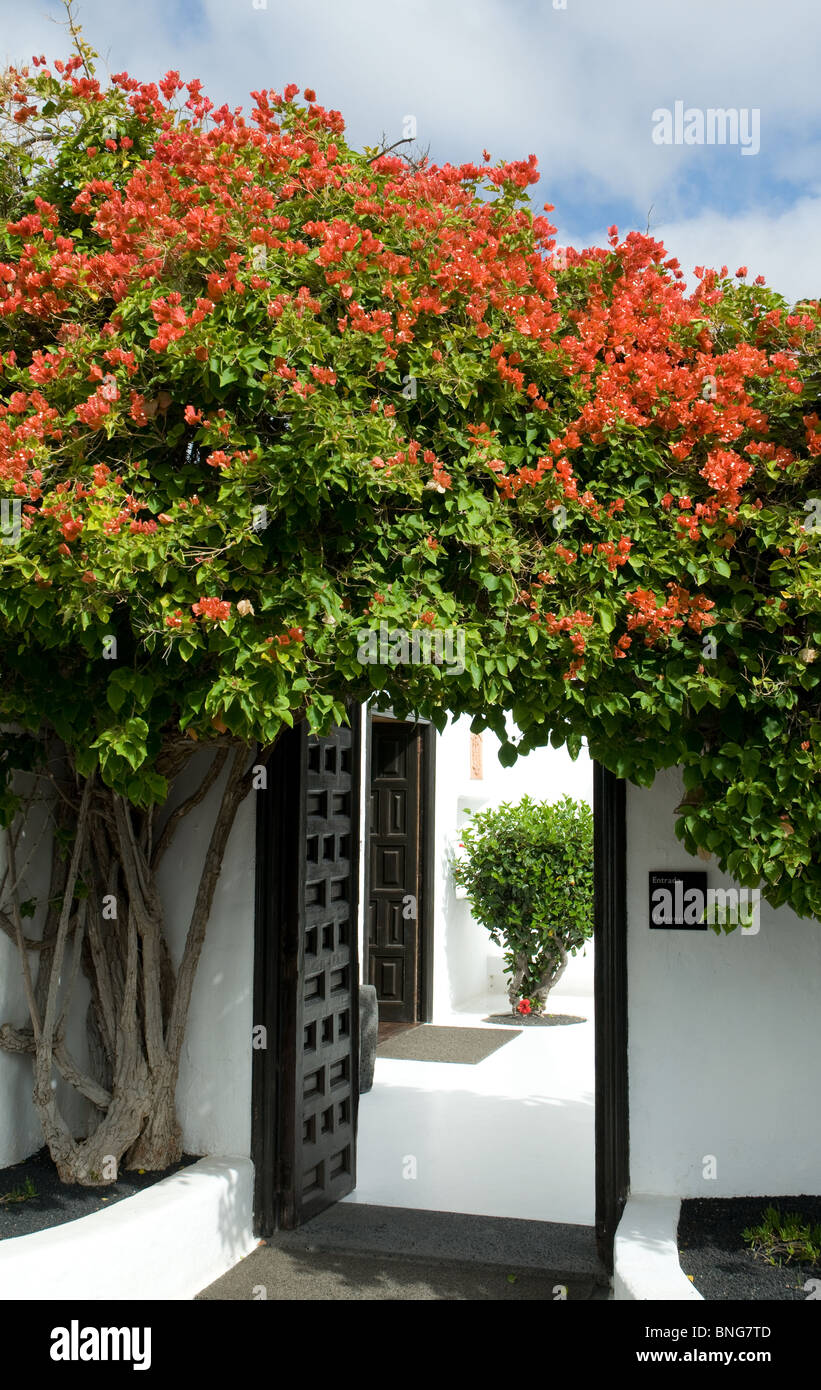 Garten auf das Haus von Cesar Manriqe Künstler Foundation Teguise Lanzarote Kanarischen Inseln Stockfoto