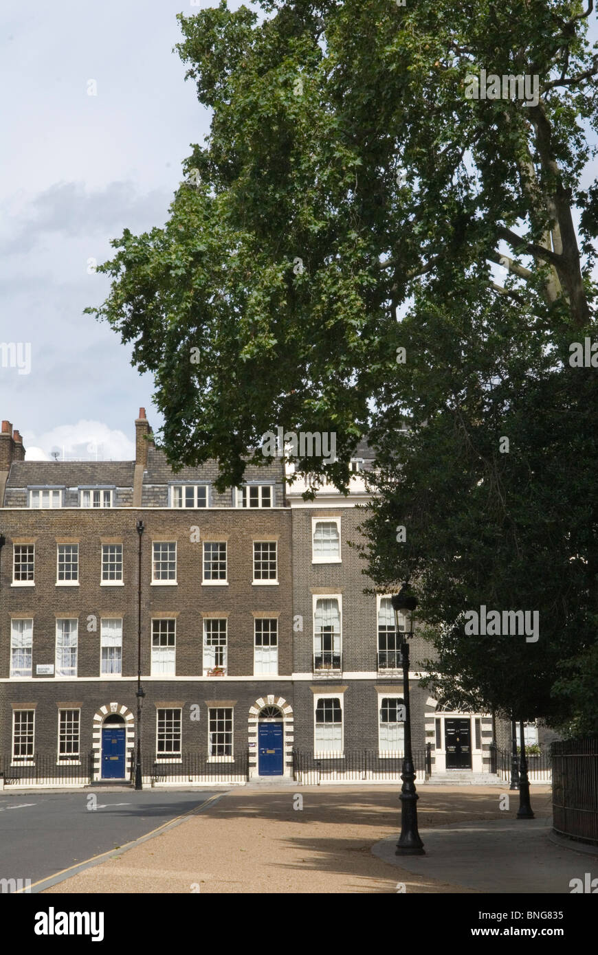 Bedford Square Bloomsbury London WC1 England (Nordseite) EINE Reihe von terrassenförmig angelegten georgianischen Häusern. HOMER SYKESK Stockfoto