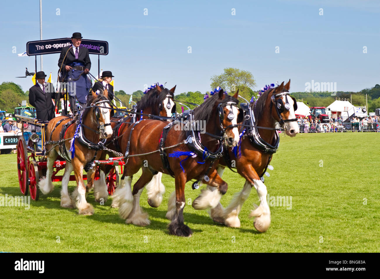 Anzeige von "heavy Horses" auf der Northumberland County Show 2010 statt in Corbridge, England Stockfoto