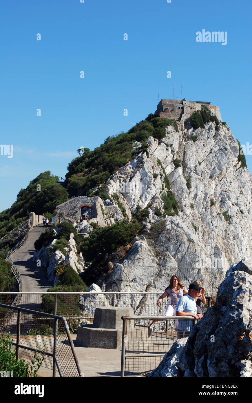 Oben auf dem Felsen, Gibraltar, Großbritannien, Westeuropa. Stockfoto
