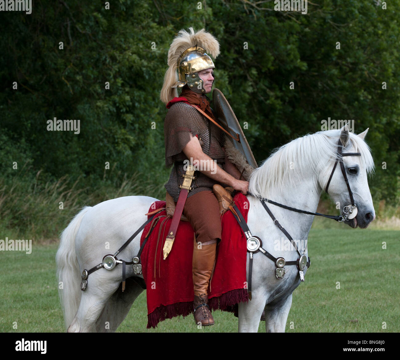 Römische Kavallerie Soldat auf einem weißen Pferd auf einem historischen reenactment Living History Anzeige Stockfoto