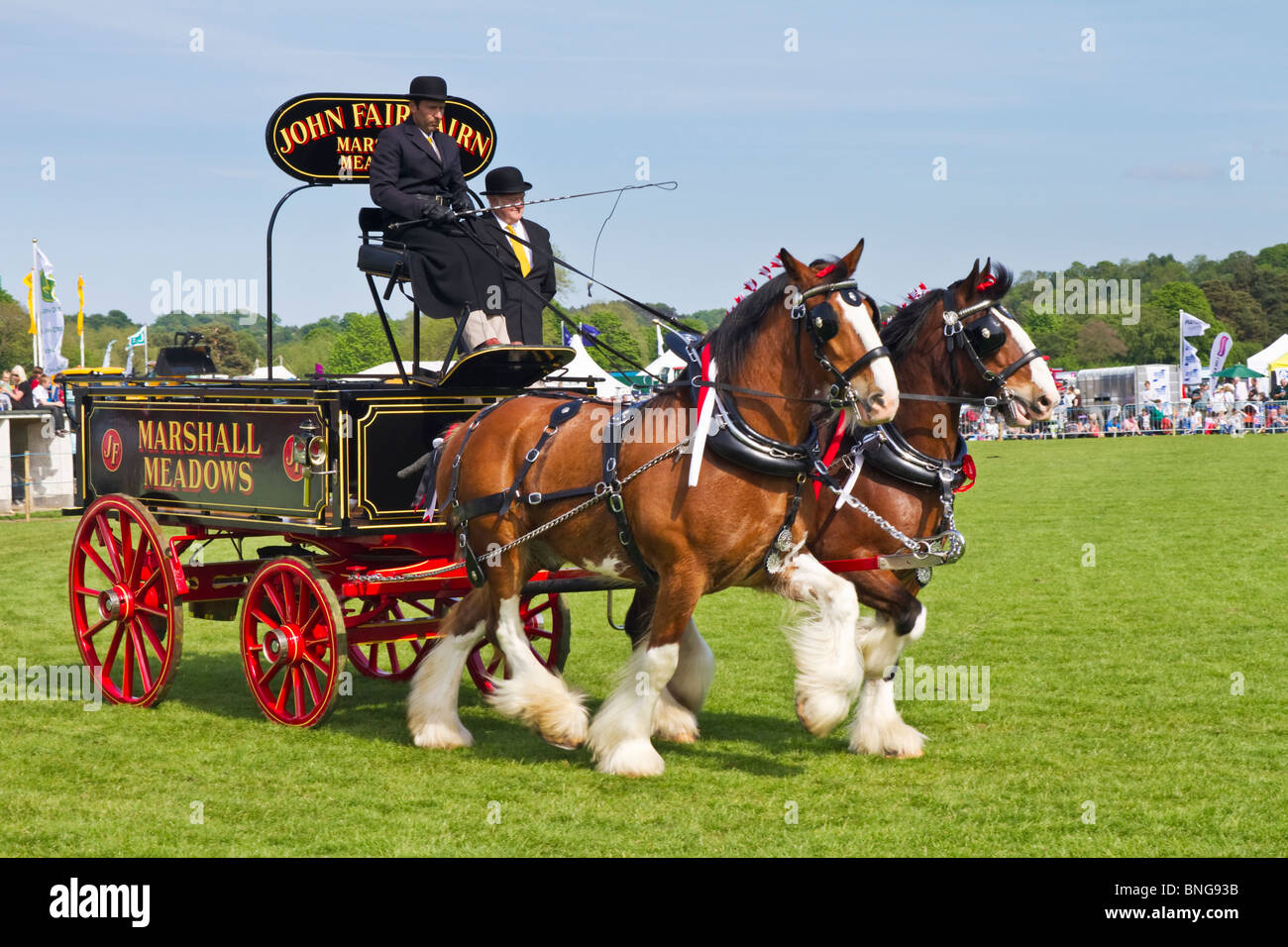 Anzeige von "heavy Horses" auf der Northumberland County Show 2010 statt in Corbridge, England Stockfoto