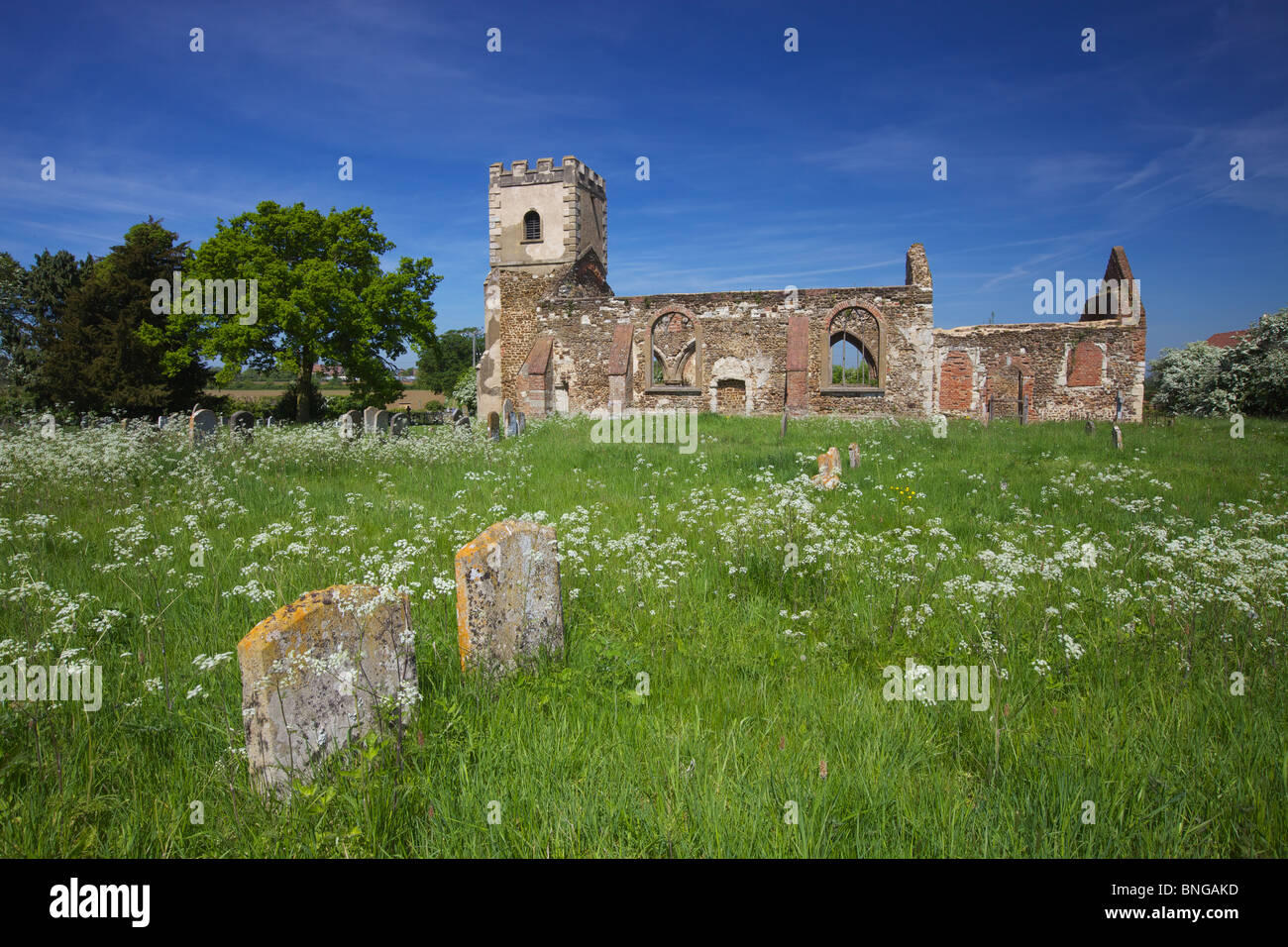 Reste von All Saints Church, Segenhoe alte Kirche, Ridgemont, Bedfordshire, England Stockfoto