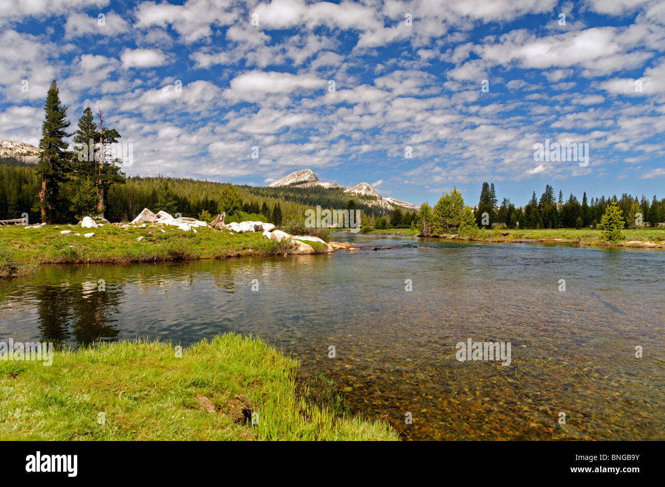 Tuolumne River, Tuolumne Meadows, Yosemite National Park, Kalifornien. Sommermorgen. Stockfoto