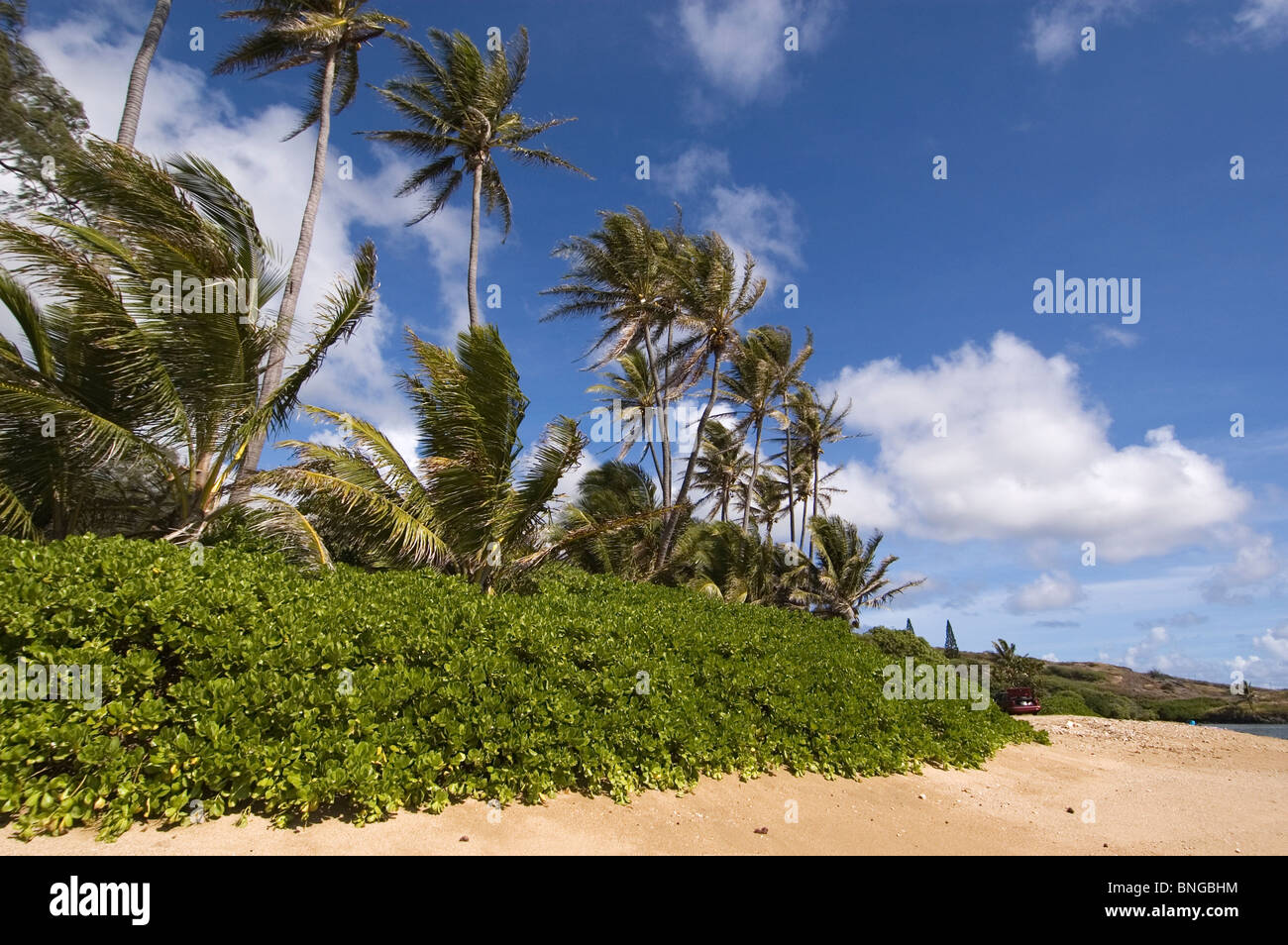 Elk284-6172 Hawaii, Molokai, Twenty Mile Beach Stockfoto