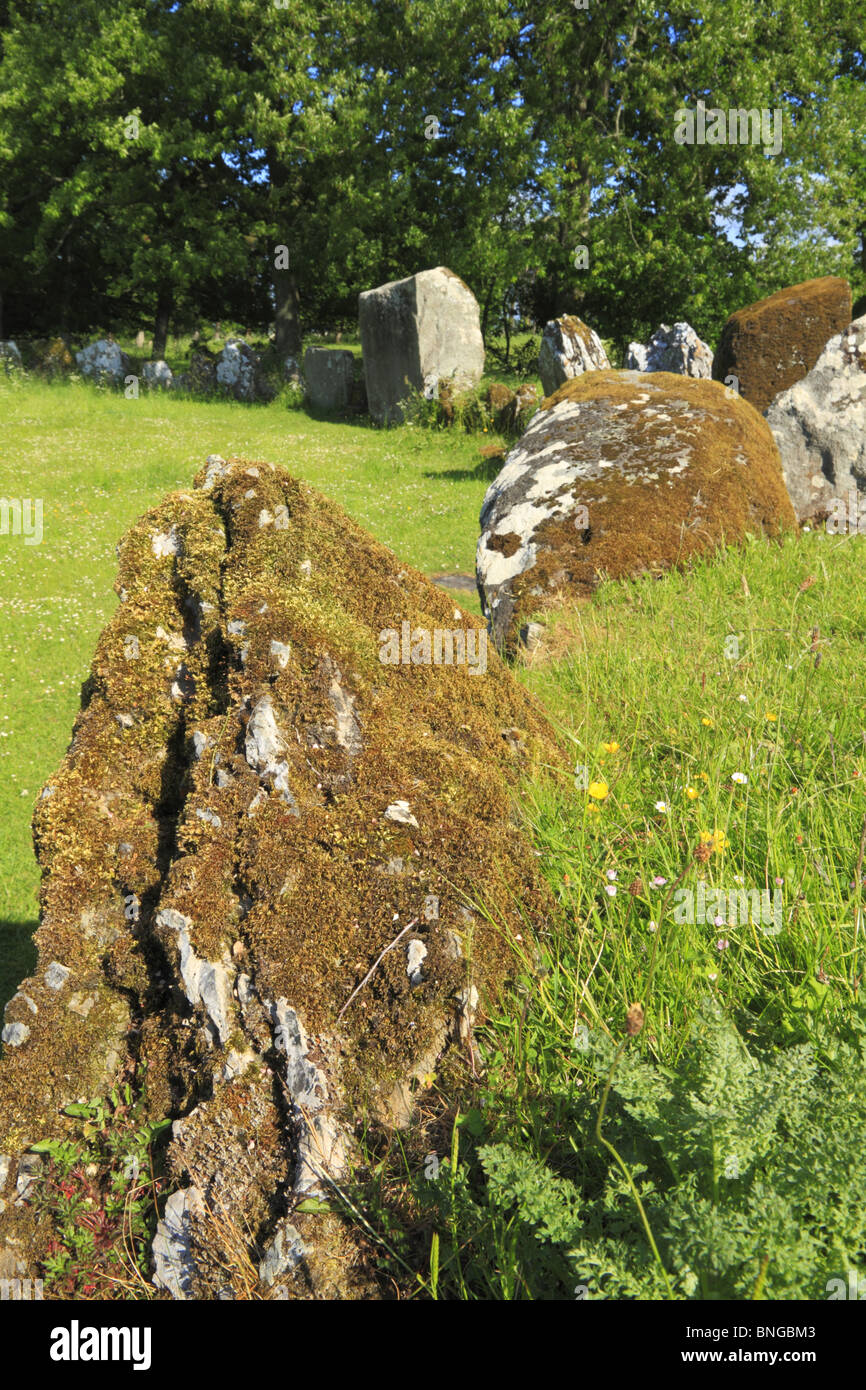 Grange Steinkreis in der Grafschaft Limerick, Republik Irland. Stockfoto