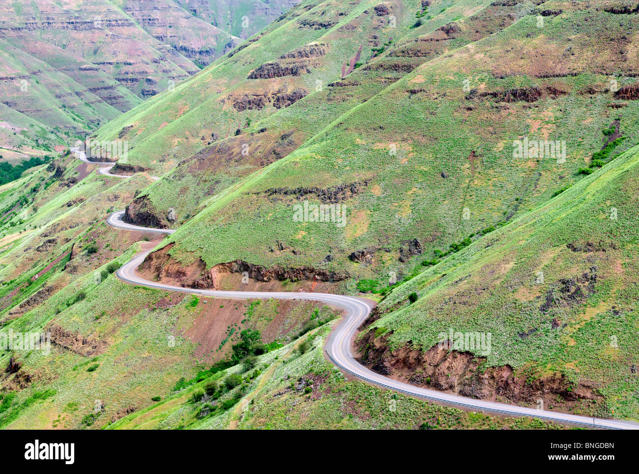 Unternehmen/Lewiston Highway 129. mit dem Frühling Wachstum. Oregon Stockfoto