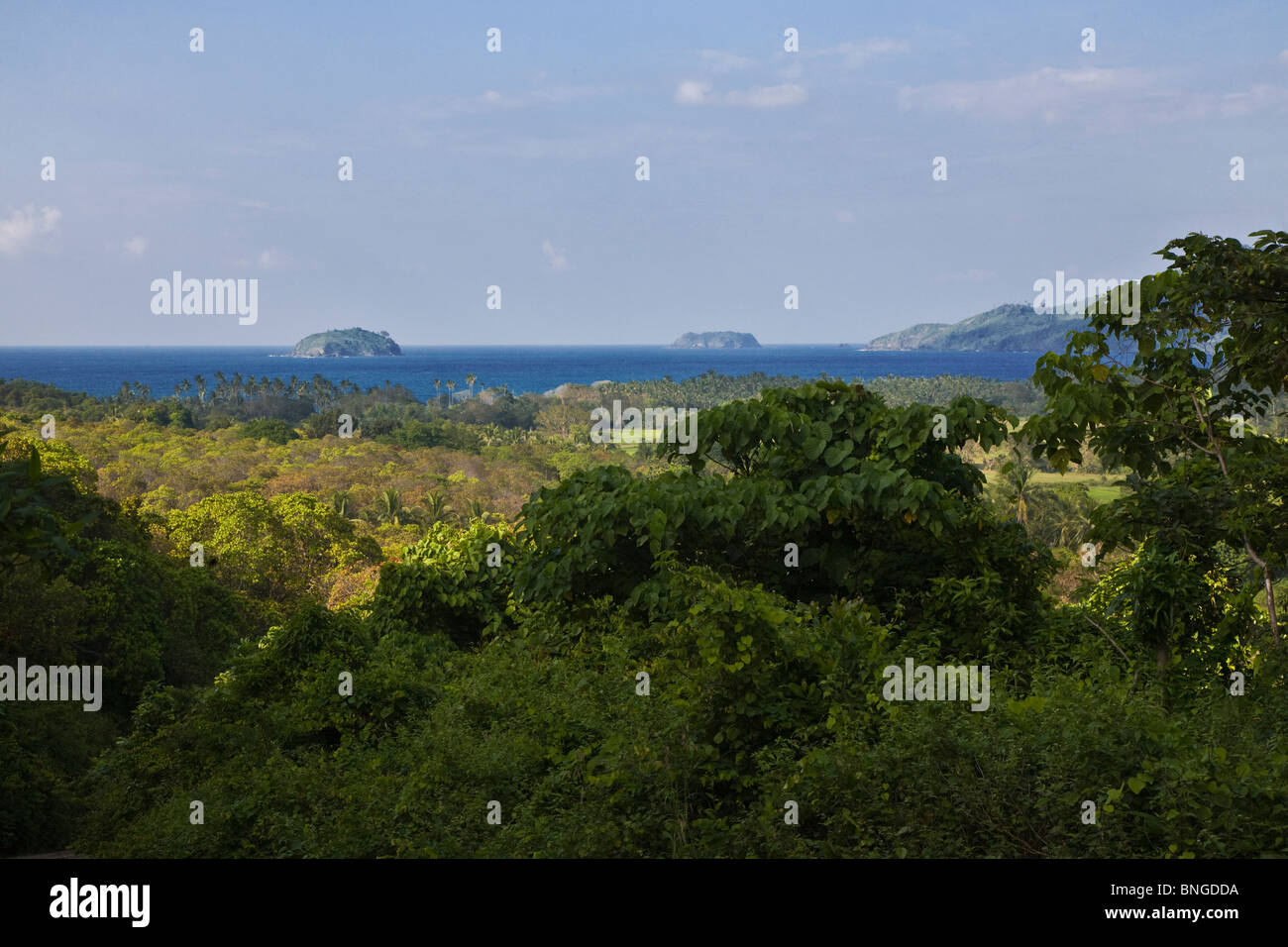 TROPISCHEN Dschungel und dem Pazifischen Ozean im Norden der Insel PALAWAN - Philippinen Stockfoto