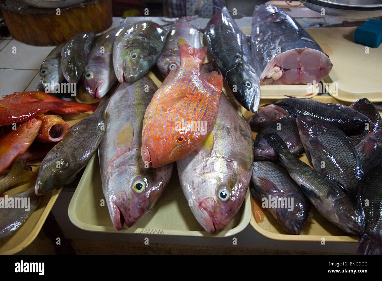 RED SNAPPER und andere Fische werden in der zentrale Markt von PUERTO PRINCESS auf der Insel PALAWAN - Philippinen verkauft. Stockfoto