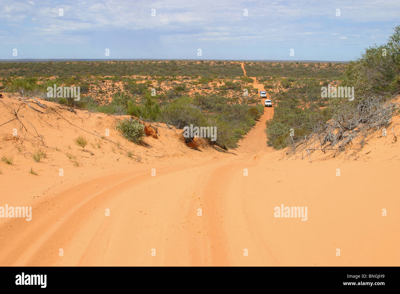 Autos auf einem Feldweg, Ceduna, Eyre Peninsula, South Australia, Australien Stockfoto