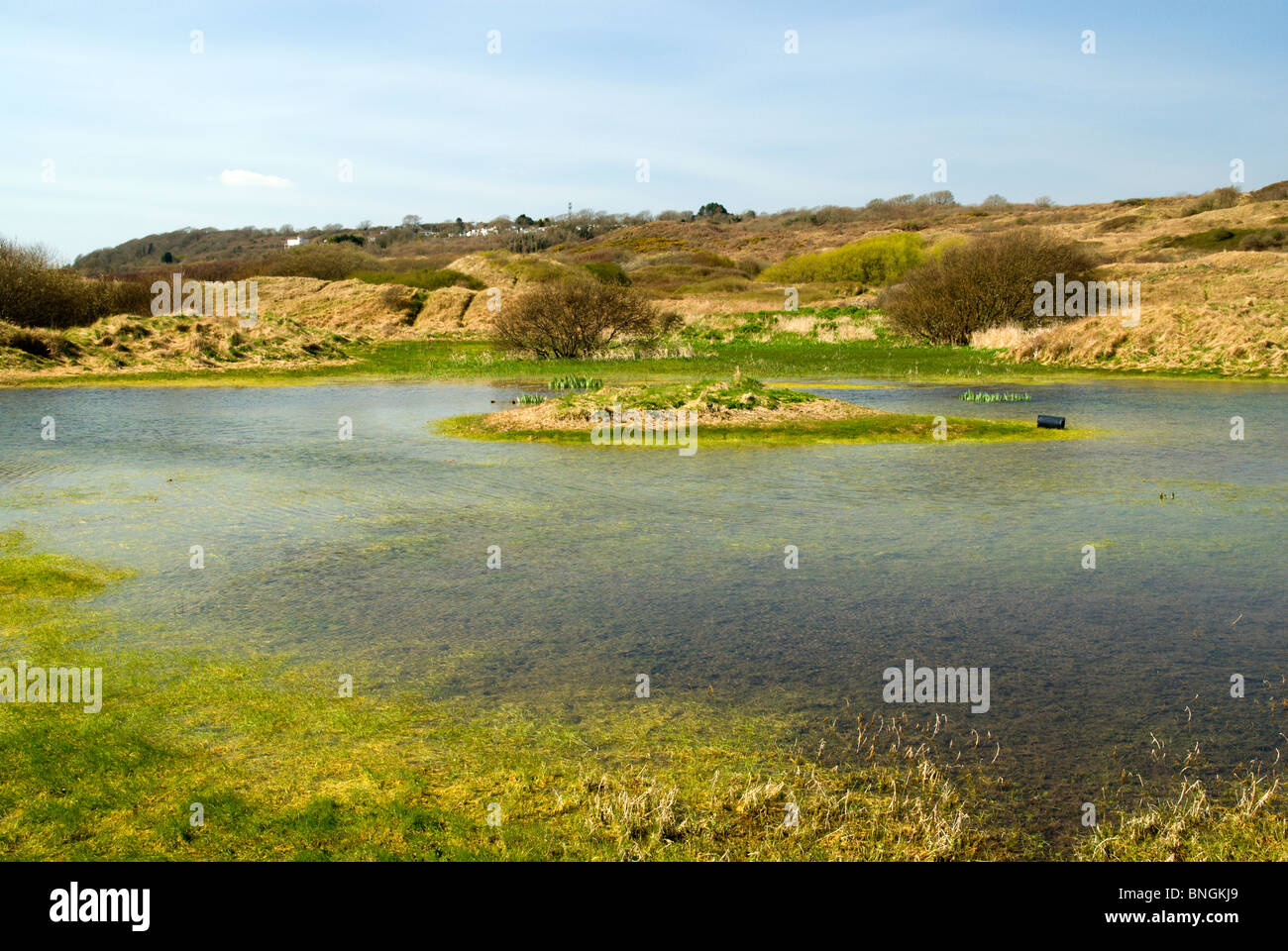 Wasser gefüllten Düne schlaff Merthyr Mawr national Nature Reserve Bridgend Südwales uk Stockfoto