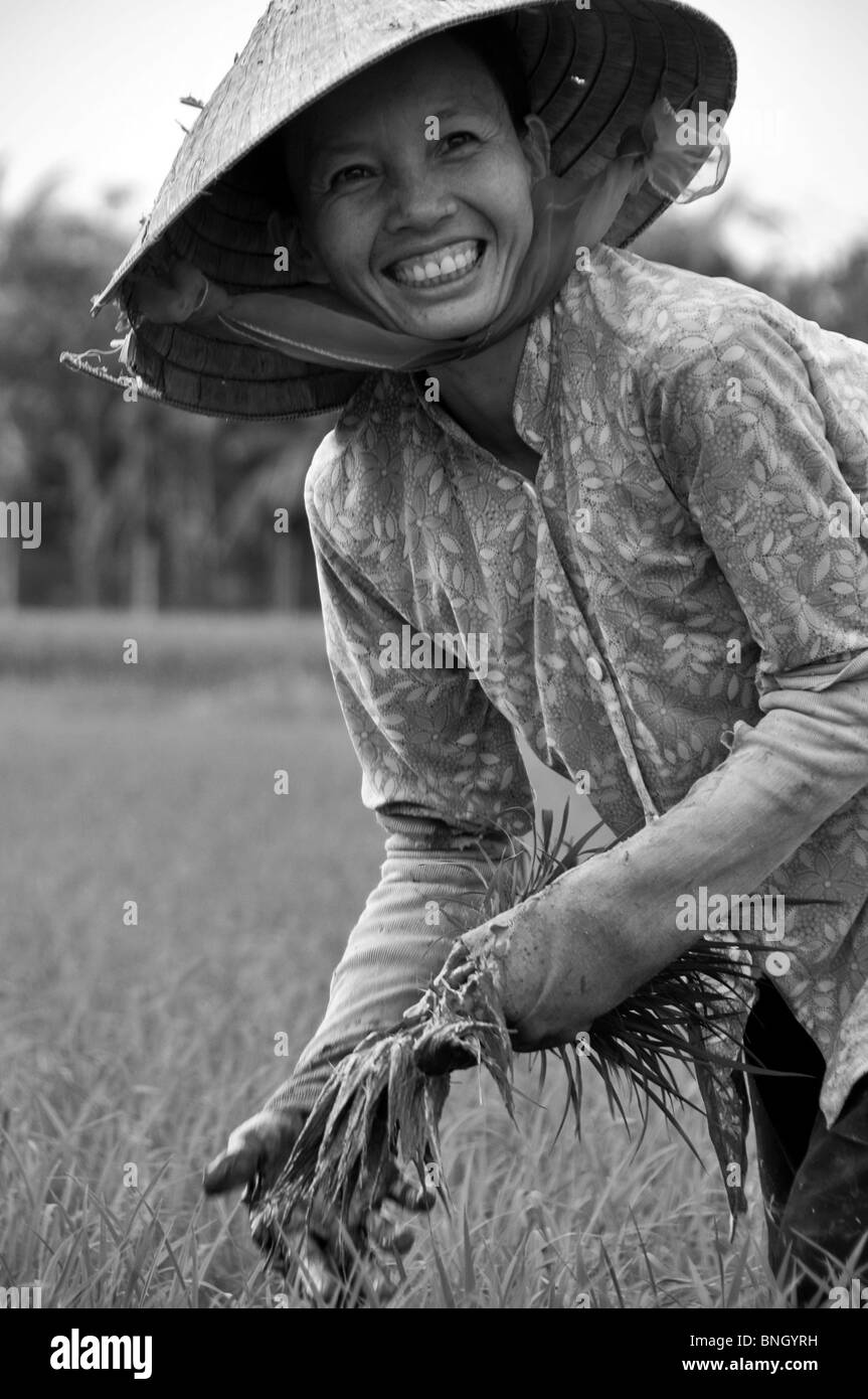 Mekong Delta & Paddy Field arbeitet, Mekong-Delta, Vietnam Stockfoto