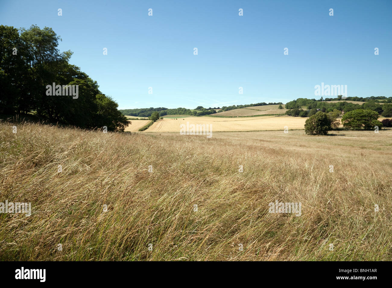 Landschaft, Lyminge in der Nähe von Folkestone, Kent UK Englisch Stockfoto